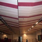 Strip Ceiling Installation For Assembly Hall – Faculty of Dentistry University Malaya